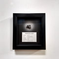 Sikhote-Alin Meteorito