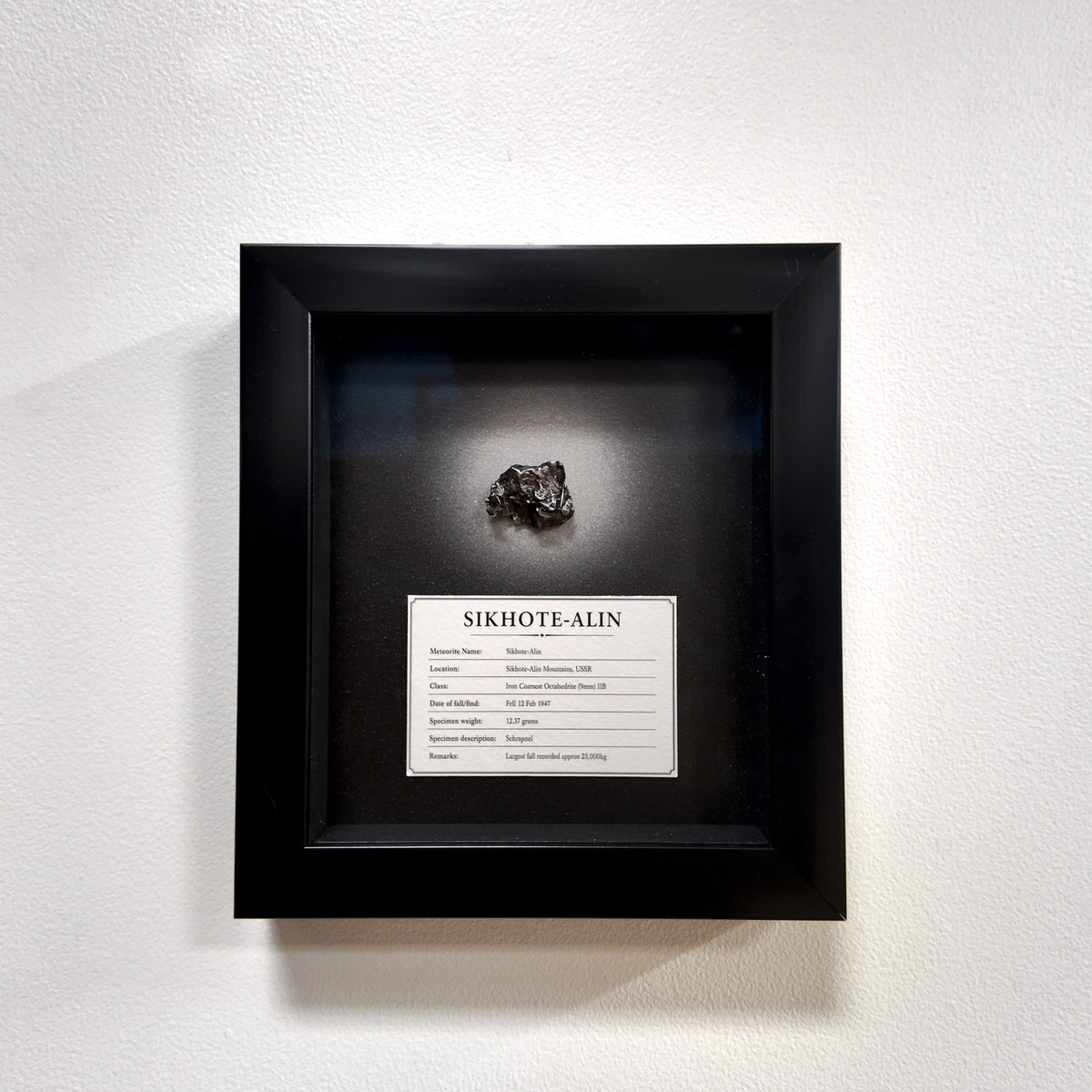 Sikhote-Alin Meteorito